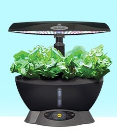 miracle grow aero garden